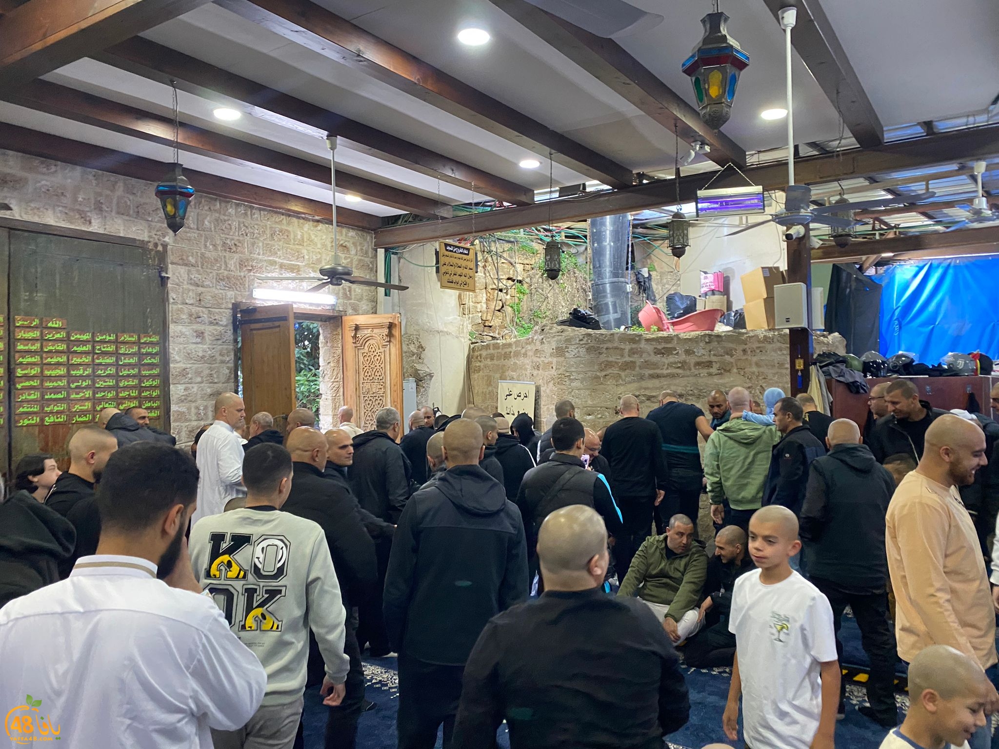 WhatsApp Image 2024-04-10 at 7.06.16 AM (1).jpeg